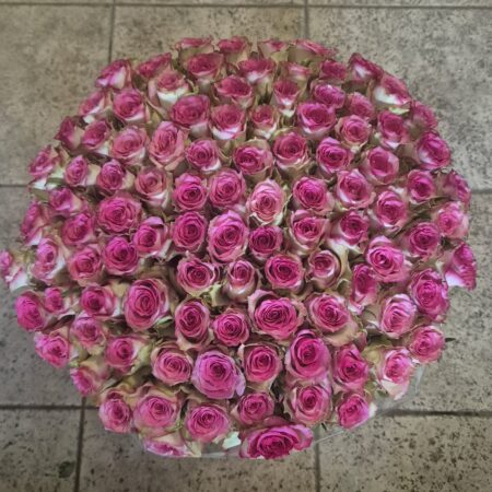 AANBIEDING ! 100 elegant rozewit | 60 cm