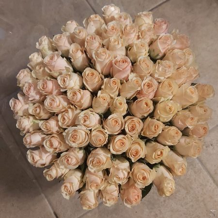 Aanbieding 100 Charmant Champagne | 70 cm