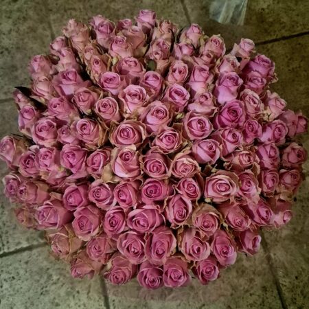 AANBIEDING ! 100 Romantisch roze rozen XL | 70 cm