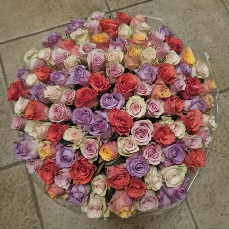 Pittige Pastelmix per stuk | 50 cm