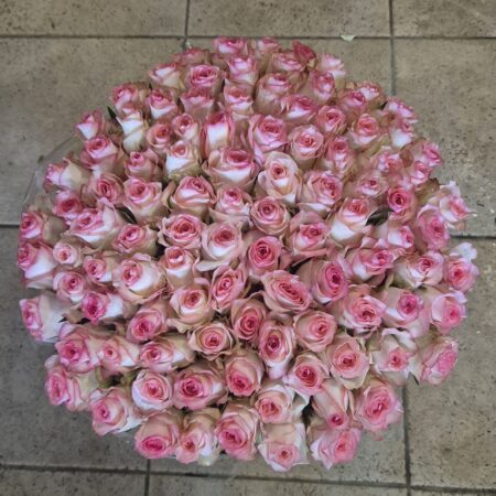 AANBIEDING ! 100 Liefdevol witroze | 40 cm